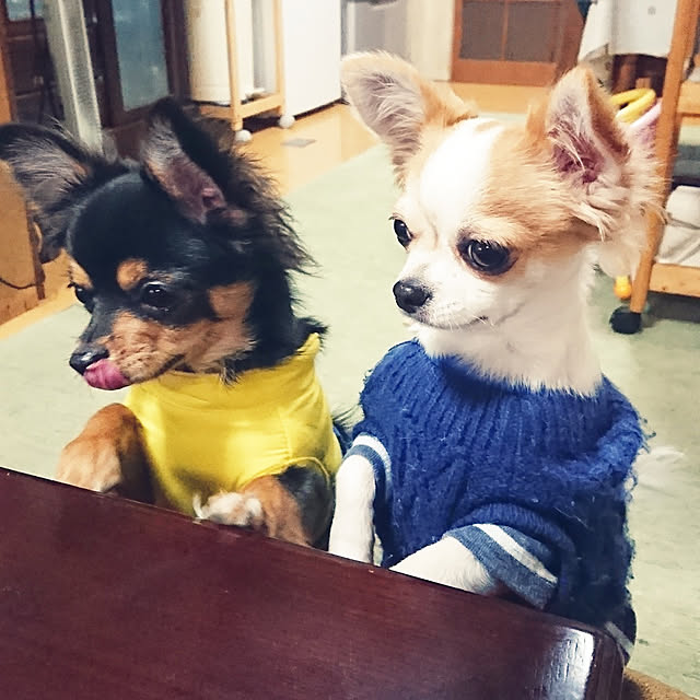 hiro-yさんの実例写真