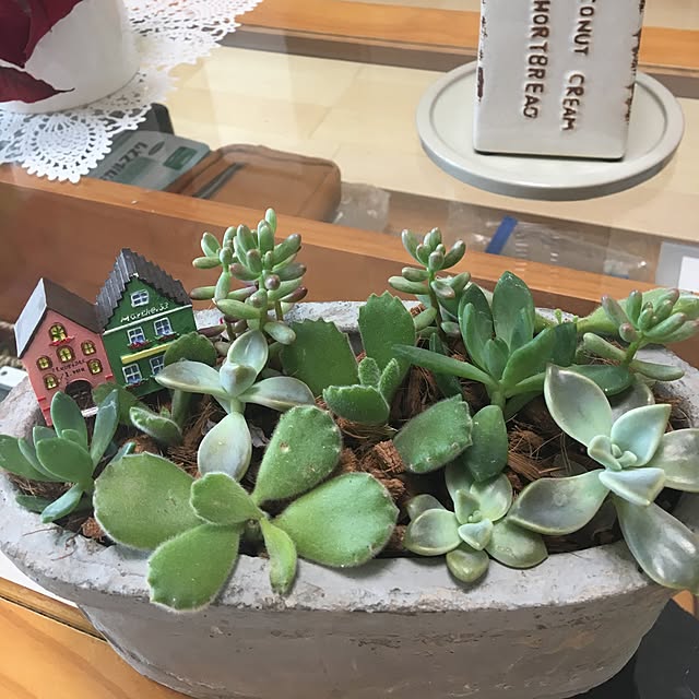 sanw2225719さんの実例写真