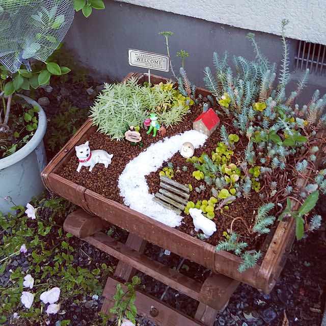 chiikokunさんの実例写真