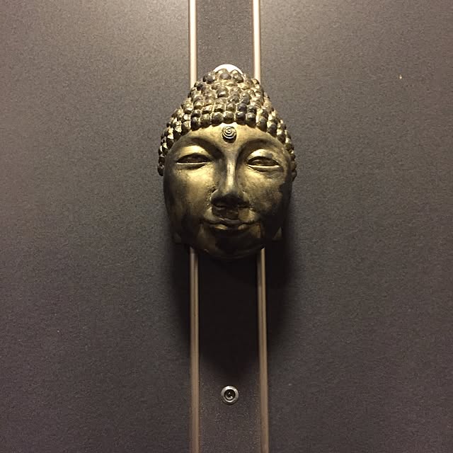 Shinobuさんの実例写真