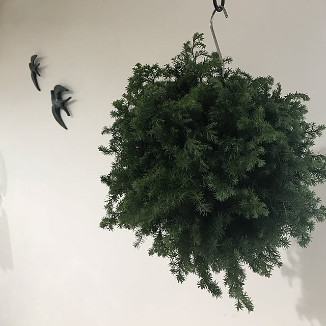 MiRiderさんの実例写真