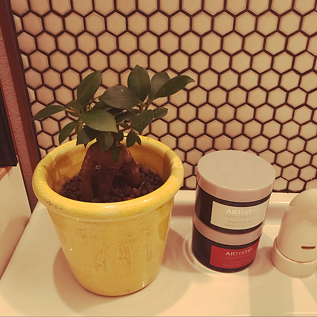 assan713さんの実例写真