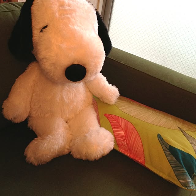 mayaさんの実例写真