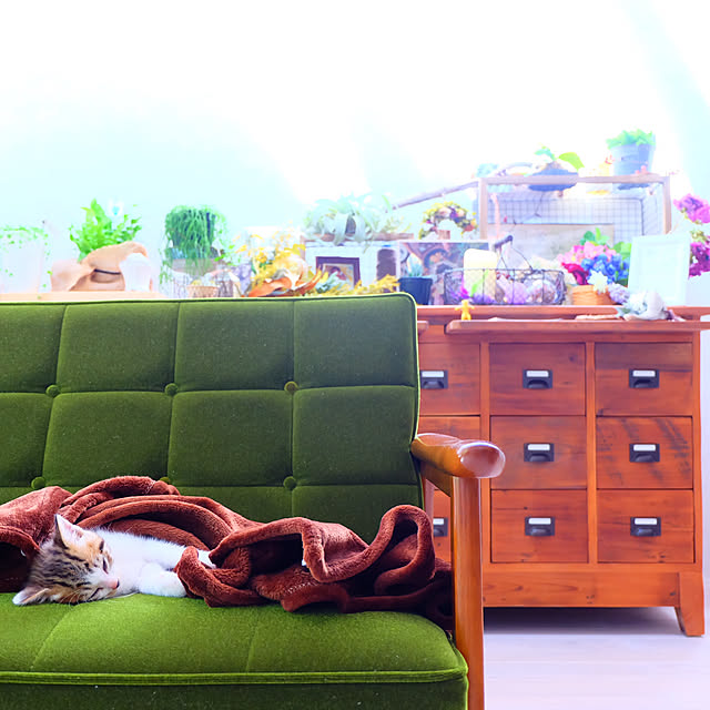 kh_homeさんの実例写真