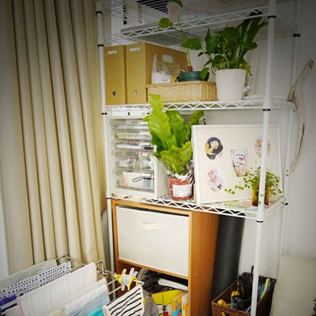 実例写真