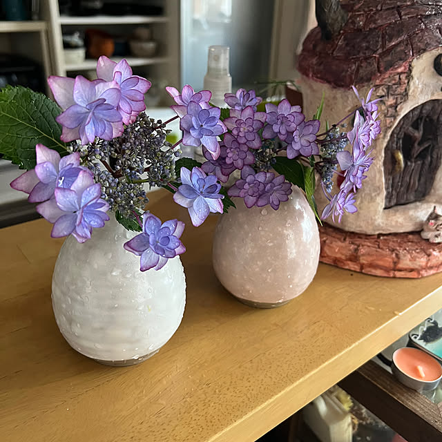 部屋全体/花/花のある暮らし/ひな祭り/紫陽花...などのインテリア実例 - 2025-06-12 14:54:11