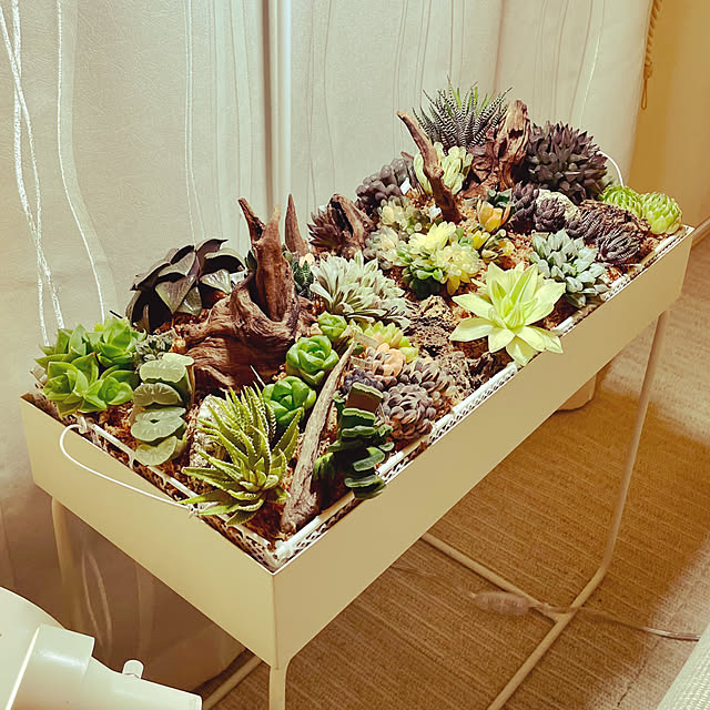 nanakoさんの部屋