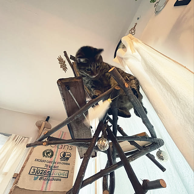 Mさんの実例写真