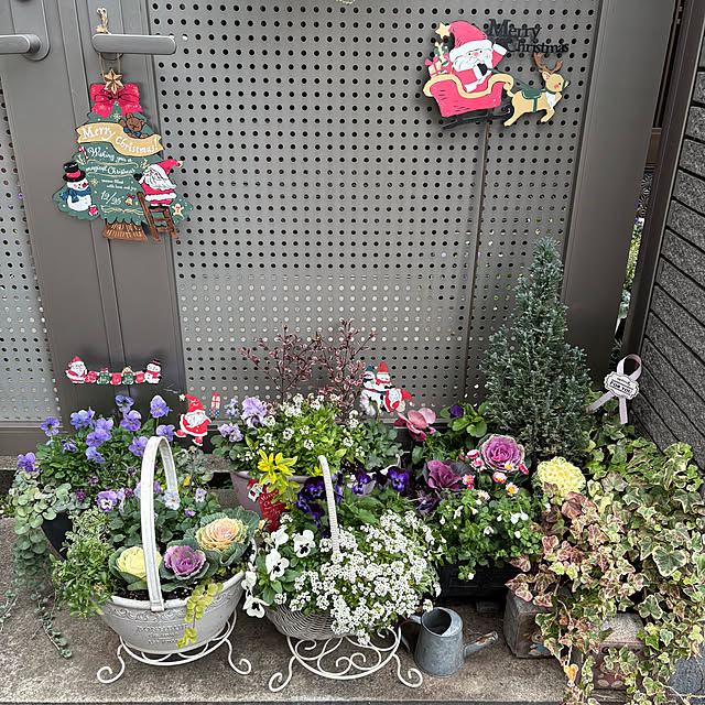 maayaさんの部屋