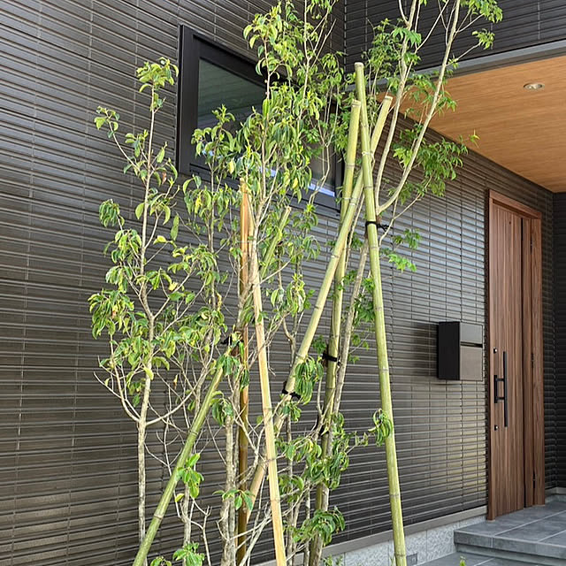 shiro_shiroさんの部屋