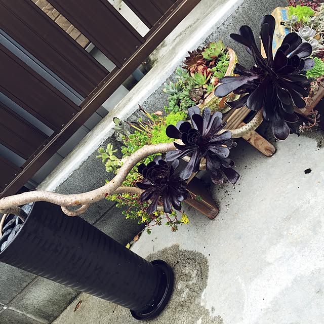 yuyuさんの実例写真
