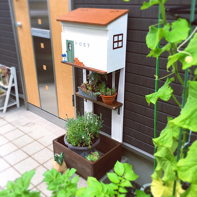 cactus0610さんの実例写真