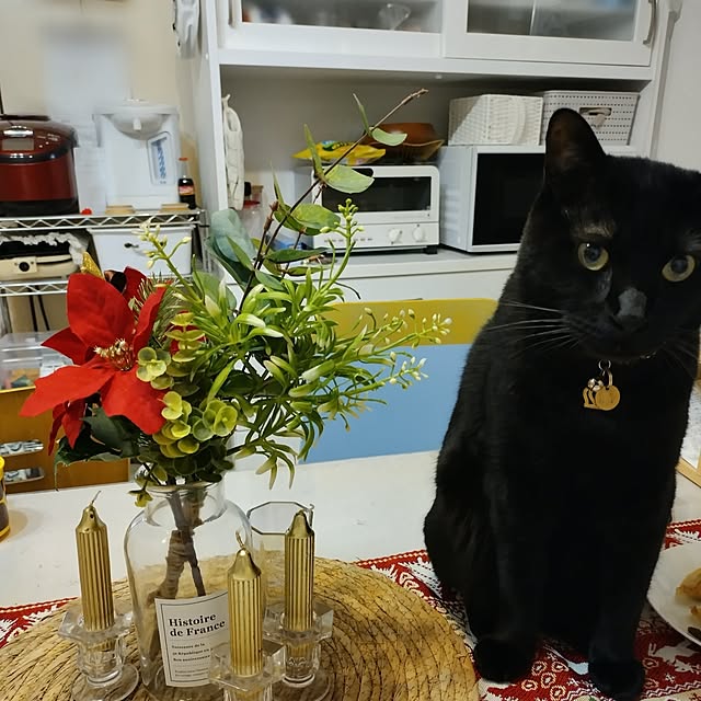 Tさんの実例写真