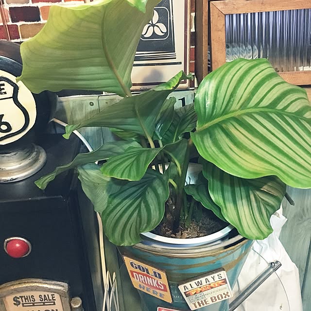 remoza0310さんの実例写真