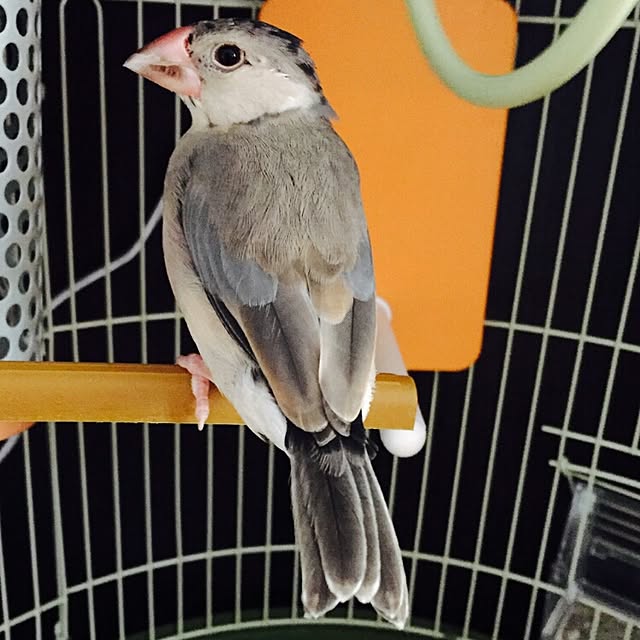 miiさんの実例写真