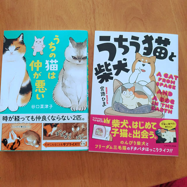 futukoさんの実例写真