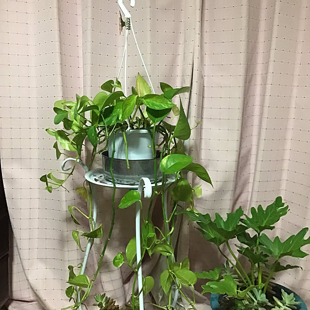 YUKIEさんの部屋