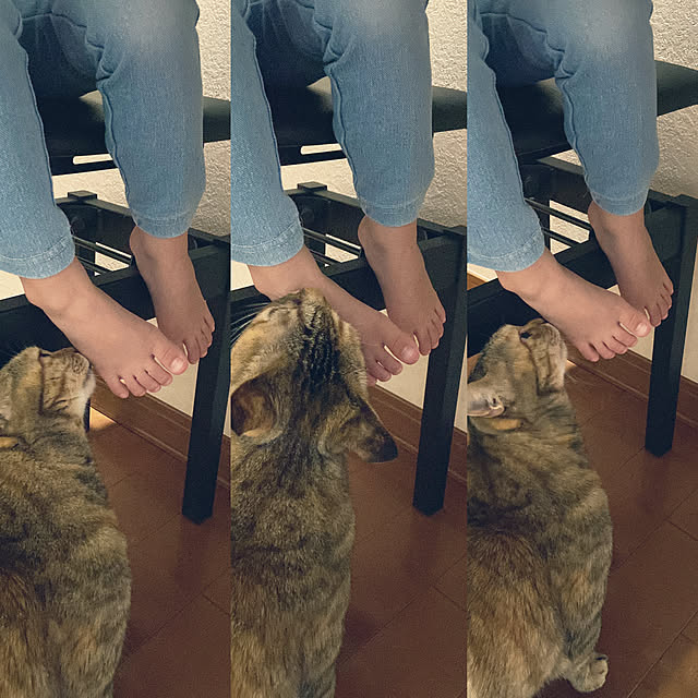 hansho.sさんの実例写真