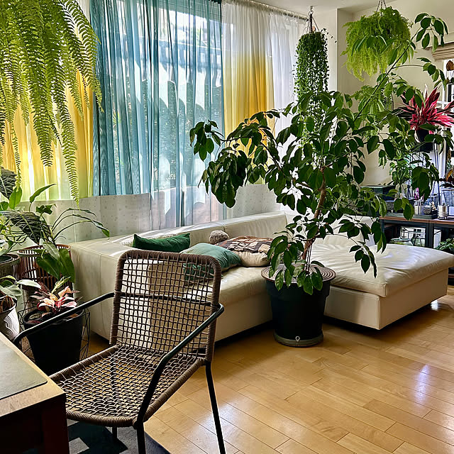 DAYONEさんの実例写真