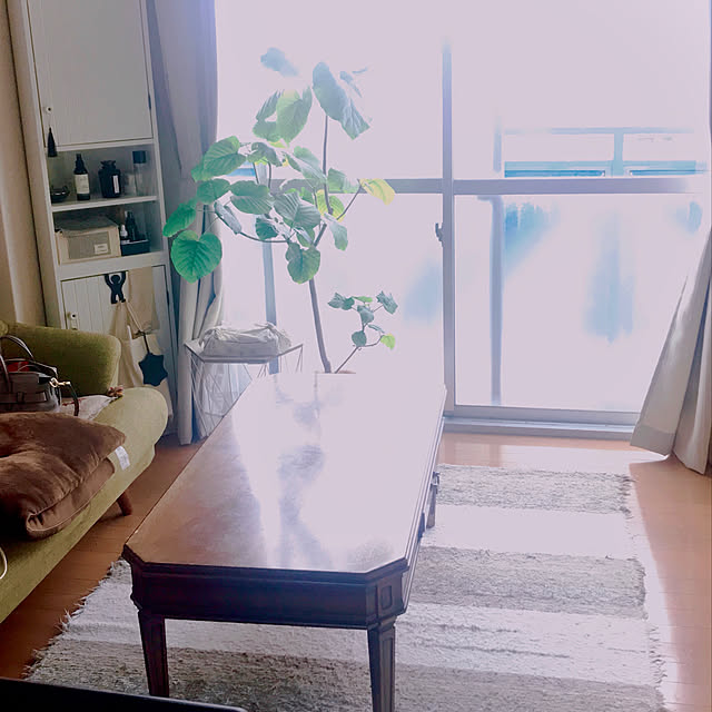 maimさんの実例写真