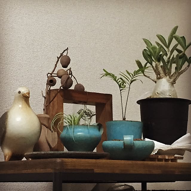 kotjさんの実例写真
