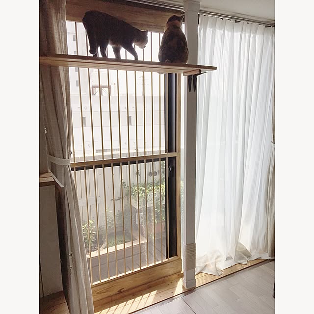 aocoさんの実例写真