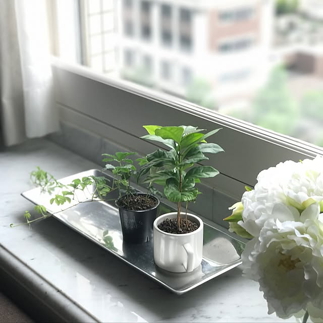 dianaさんの実例写真
