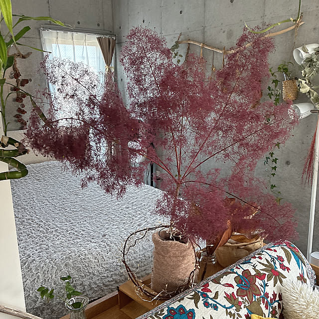 olive18さんの実例写真