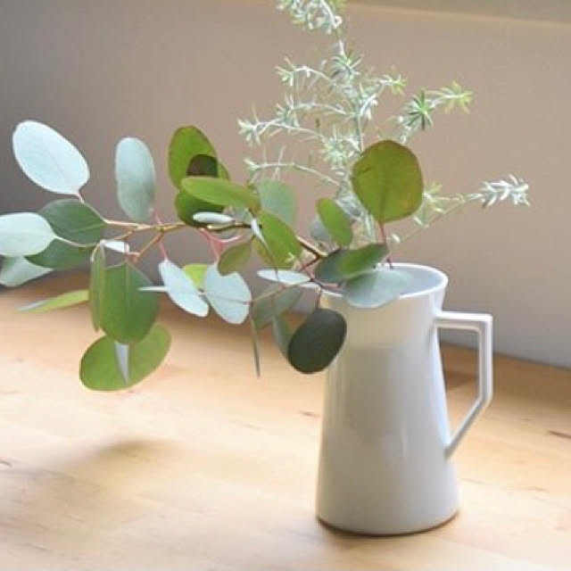 観葉植物/机のインテリア実例 - 2020-12-24 08:46:00