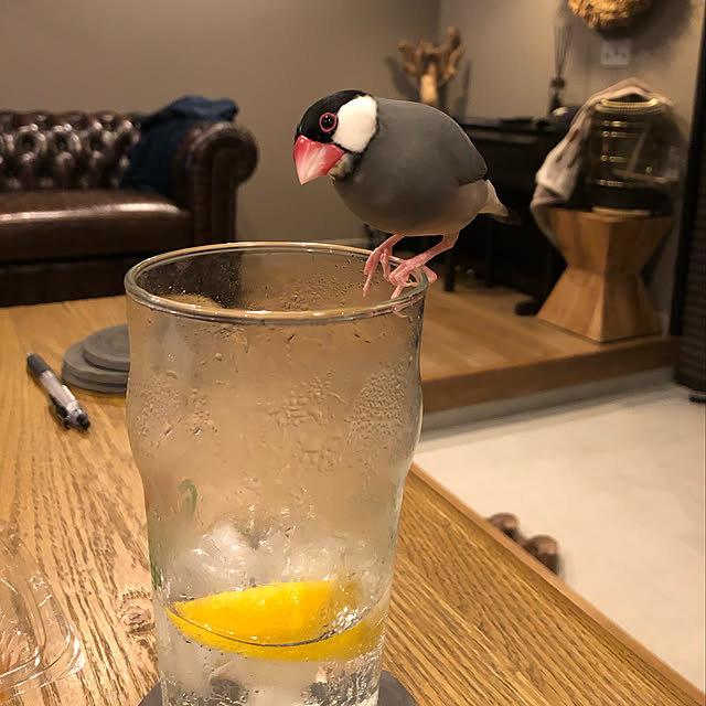 H-iroyaさんの実例写真