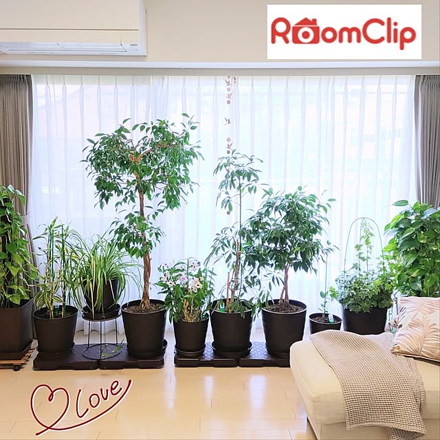 love1017さんの実例写真