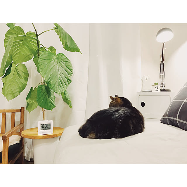 ineko_kさんの実例写真