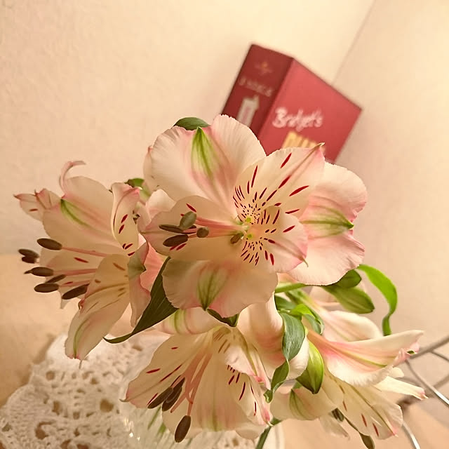 sさんの実例写真