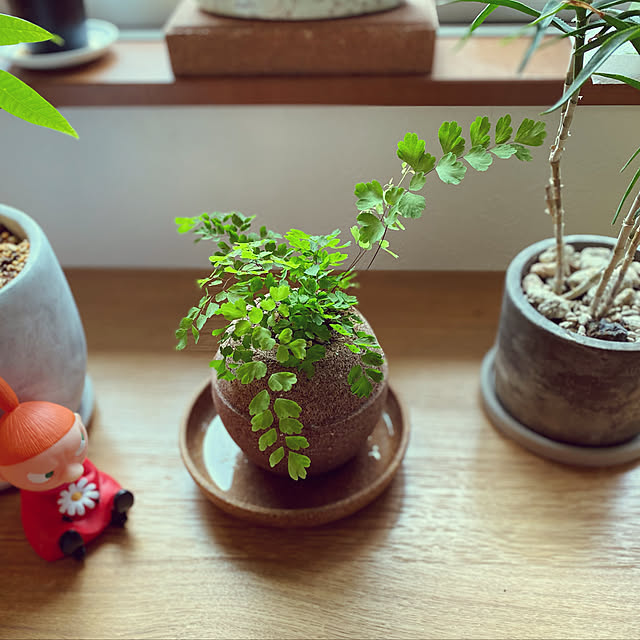 flower8823さんの実例写真