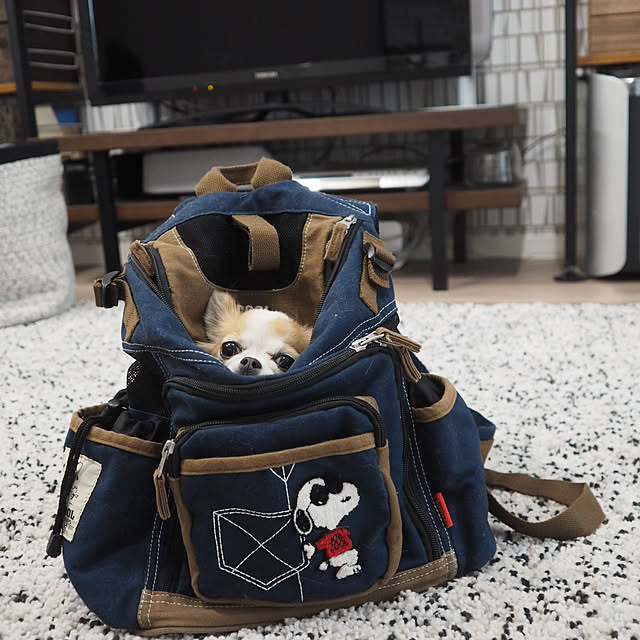 kokohanoさんの実例写真