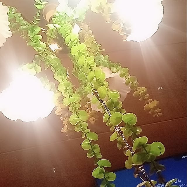 SERAさんの実例写真