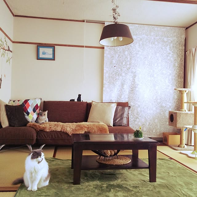 ume.satomi.0617さんの実例写真