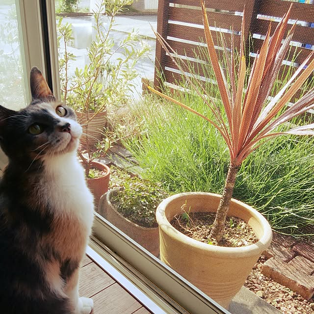 tomo1220さんの実例写真