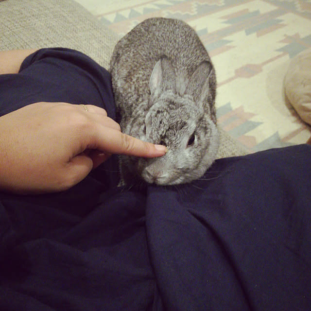 moopeeさんの実例写真