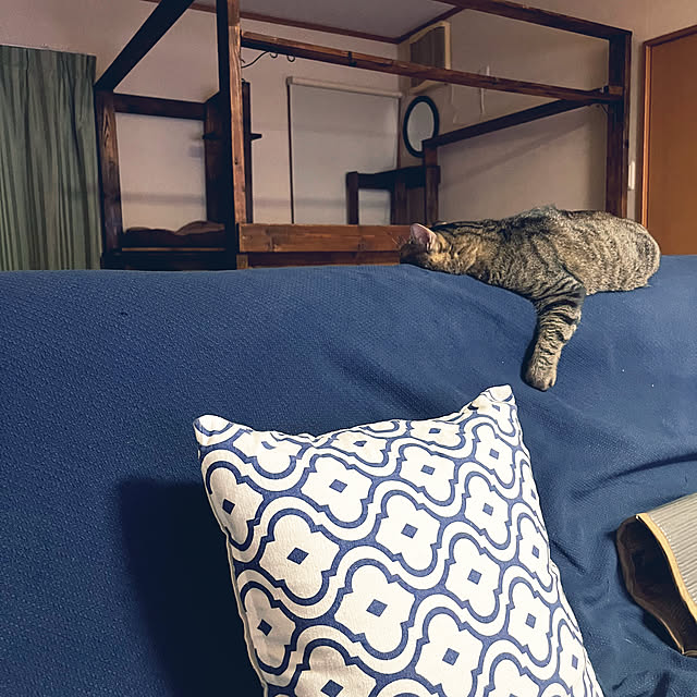 mikan161さんの実例写真