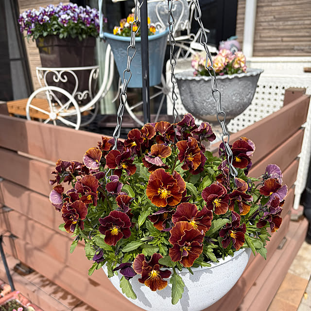 ronronさんの実例写真