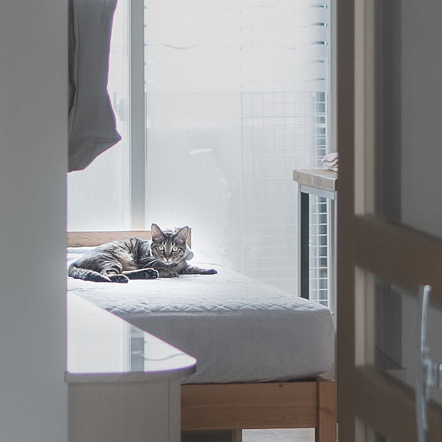 oliveさんの部屋