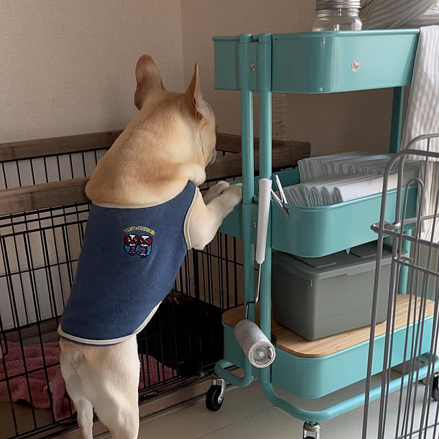 haruharu3さんの部屋