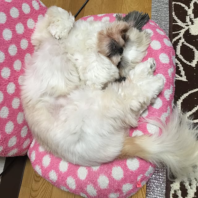 Kanamiさんの実例写真