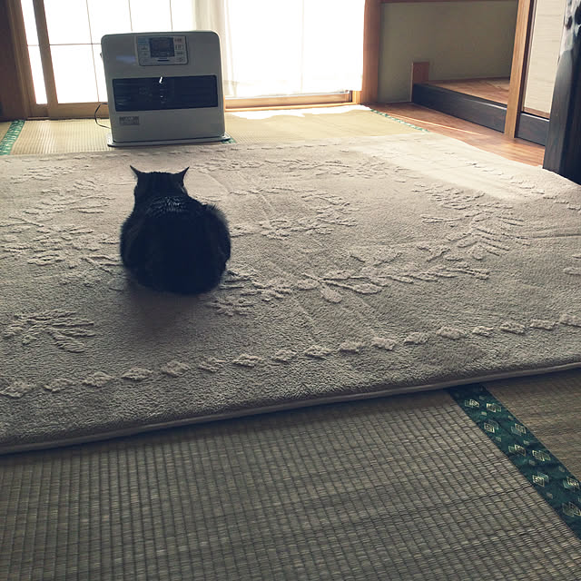 richanさんの実例写真