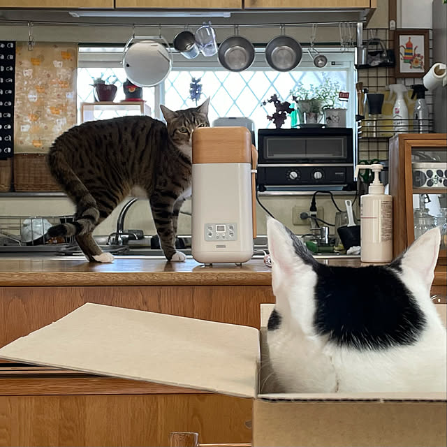 nobikoさんの実例写真