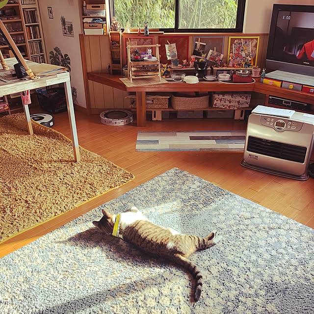 jijiさんの実例写真
