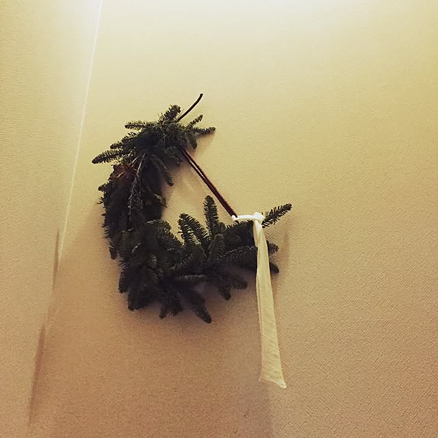 Aiさんの実例写真