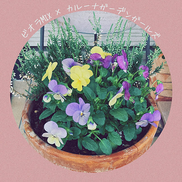 chikuwa_chanさんの実例写真