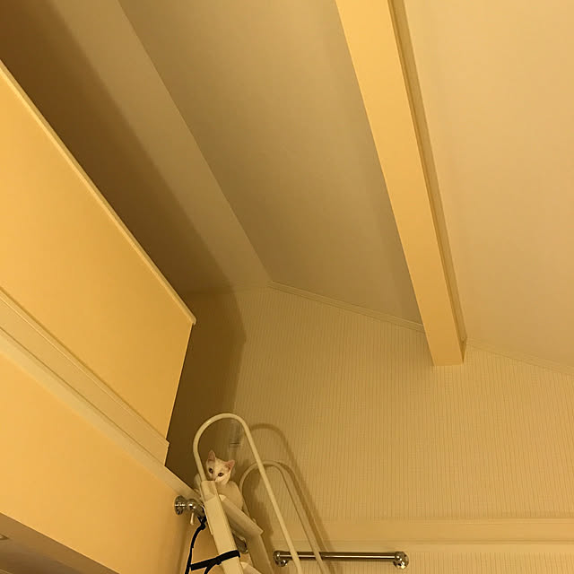 akuakuさんの実例写真
